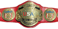 WCW United States Tag Team Championship